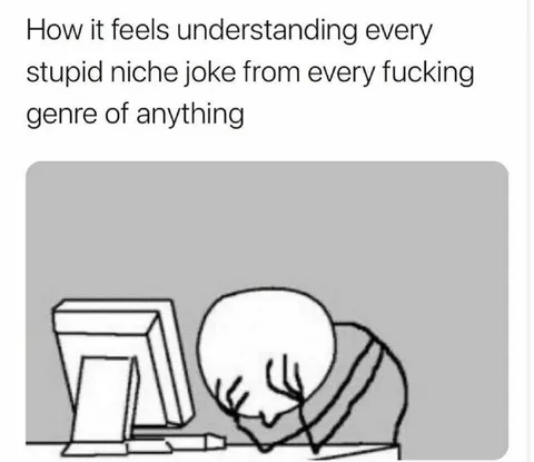 Understanding Every Niche Joke