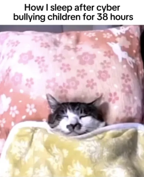 Cat Sleeps After Cyberbullying