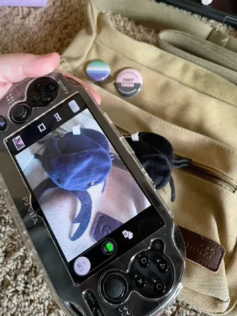 They Them Cat Camera