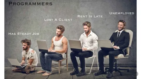 Programmers Career Status