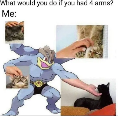 What Would You Do With Four Arms