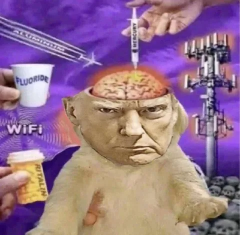 Conspiracy Baby Brain