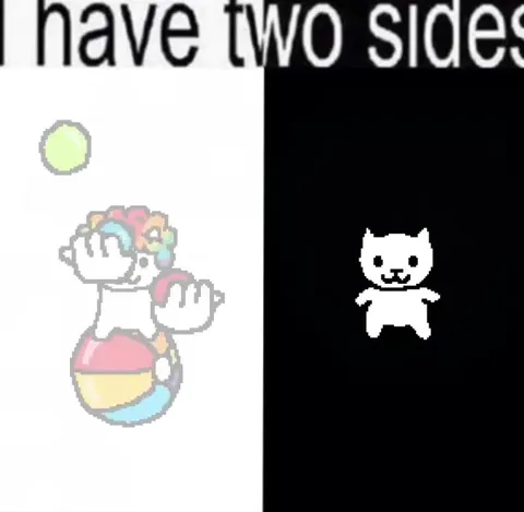 I Have Two Sides Cat