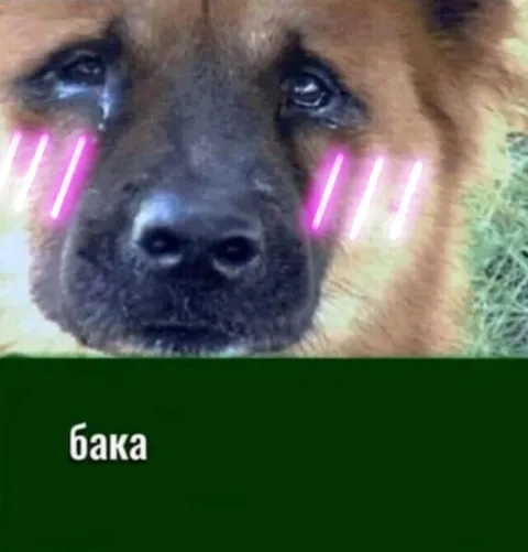 Плачущий пёс и бака