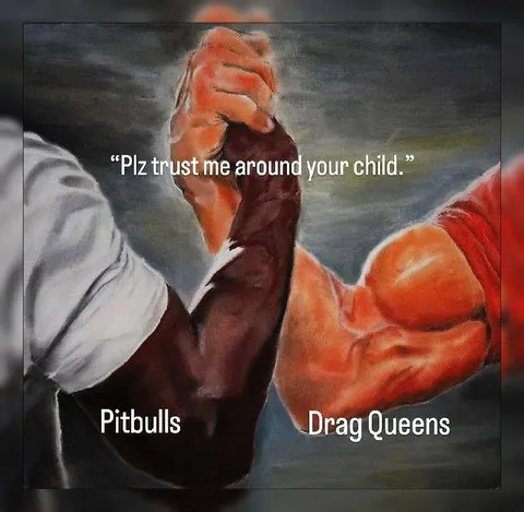 Pitbulls and Drag Queens Trust Me