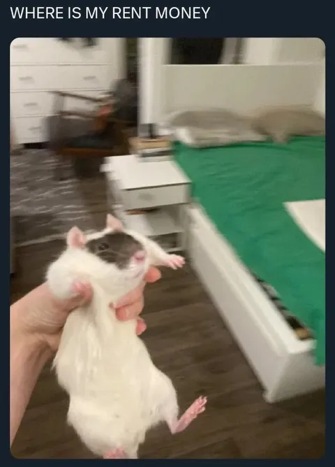 Where Is My Rent Money