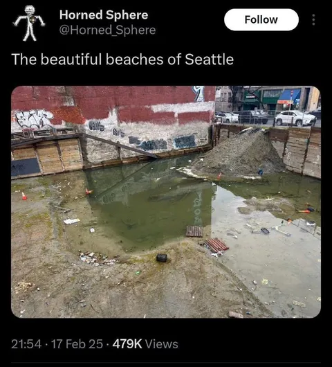 The Beautiful Beaches of Seattle