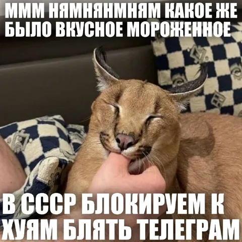 В СССР блокируем к хуям Телеграм