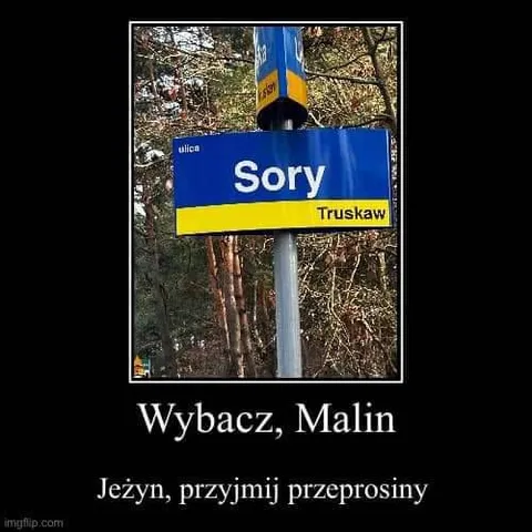 Wybacz, Malin — przyjmij przeprosiny