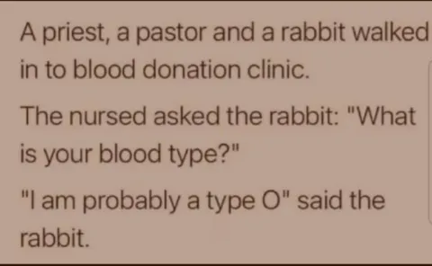 Rabbit Blood Type Typo Joke