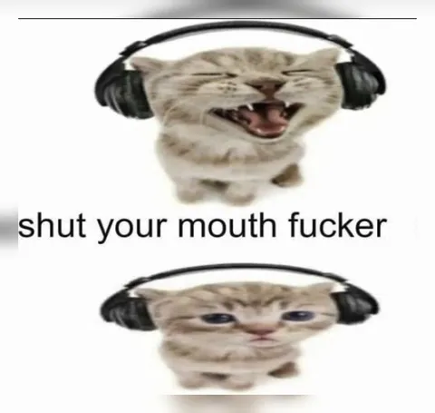 Cat Says Shut Your Mouth