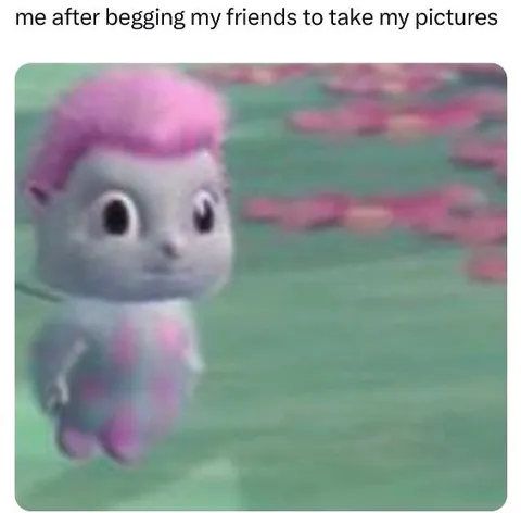 Begging Friends for Photos