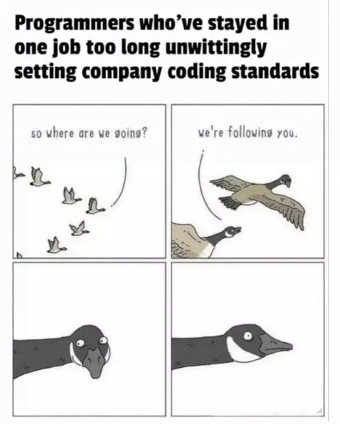 Programmers Set Coding Standards