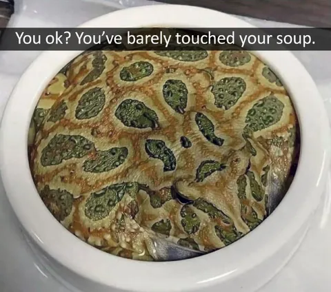 Barely Touched Your Soup