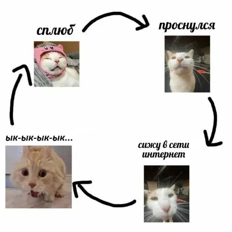 Цикл сна и интернета