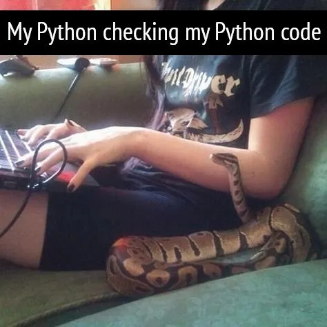 My Python Checking My Code
