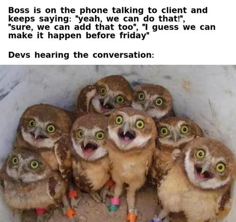 Developers Hearing the Boss