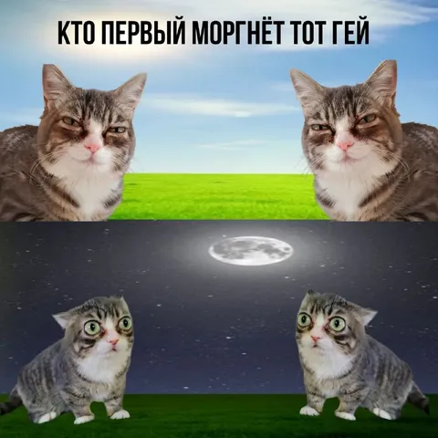 Кто первый моргнёт