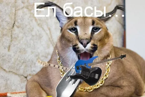 Ел басы и рок