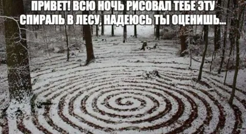 Спираль в лесу всю ночь