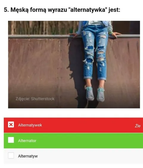 Męska forma słowa alternatywka