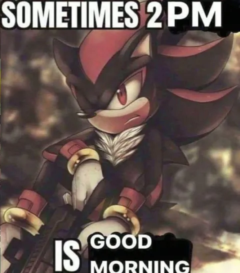 Shadow Says Good Morning at 2 PM