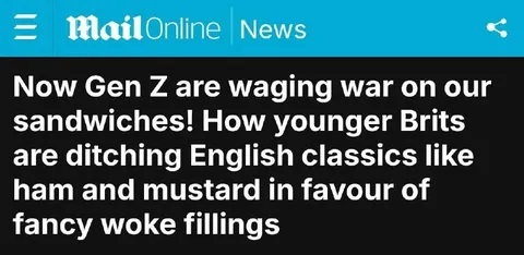 Gen Z Woke Sandwich Fillings