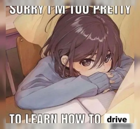 Too Pretty to Drive