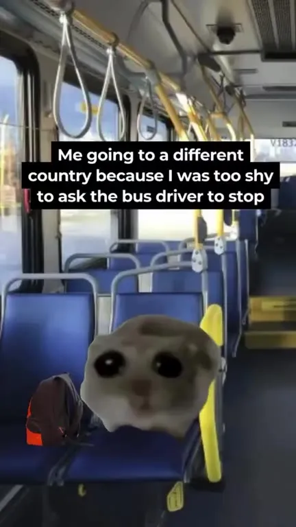 Too Shy to Ask the Bus Driver