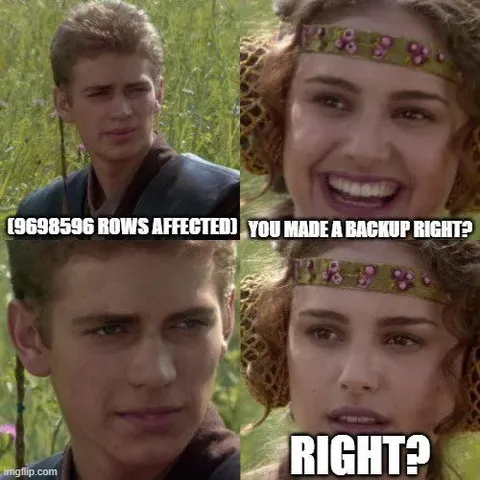 You Made a Backup Right?