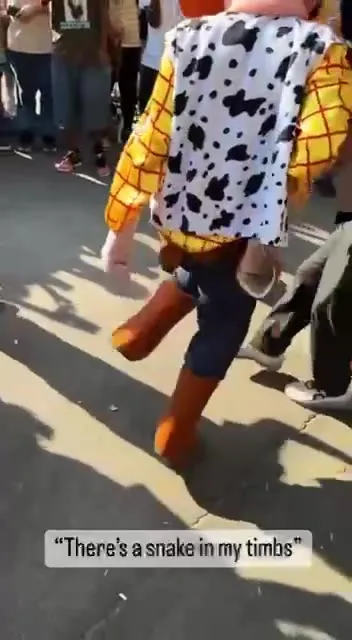 There's a Snake in My Timbs