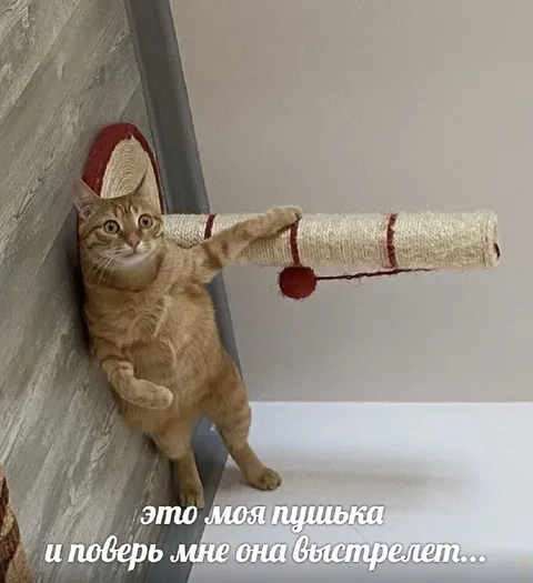 Это моя пушка