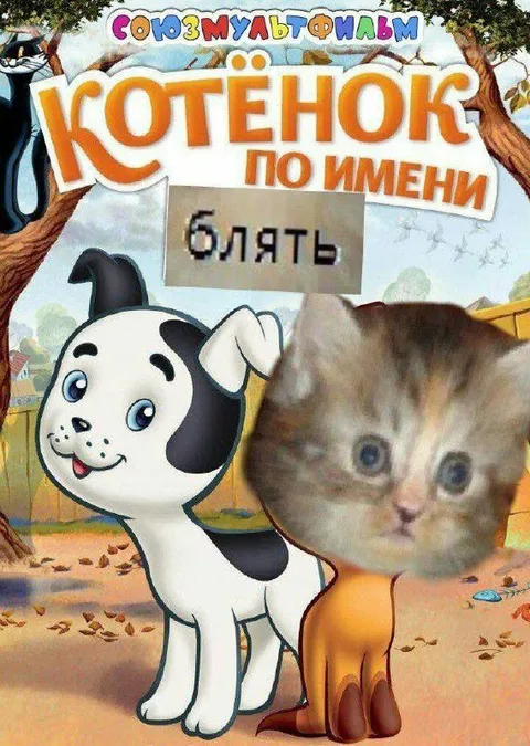 Котёнок по имени блять
