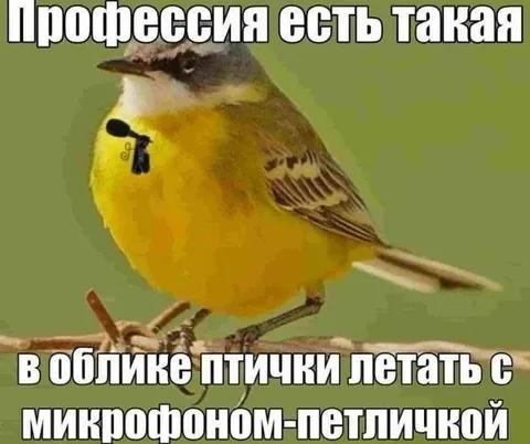 Птичка с микрофоном-петличкой