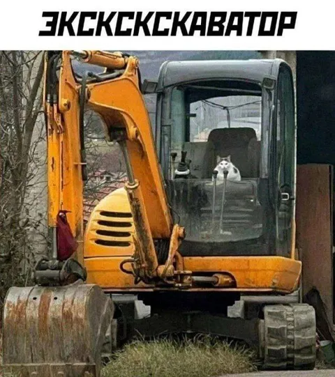 Кот-экскаваторщик на работе