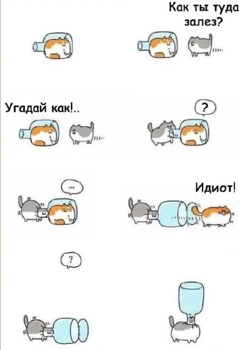 Как кот туда залез