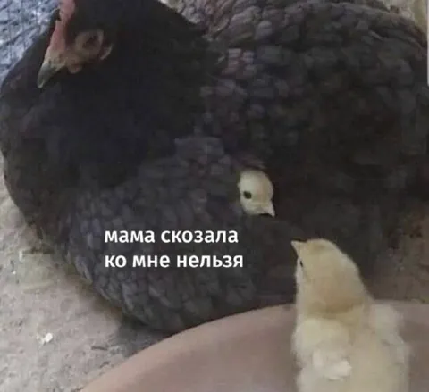 Мама сказала ко мне нельзя