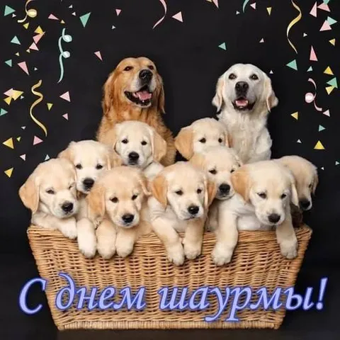 С днем шармы!