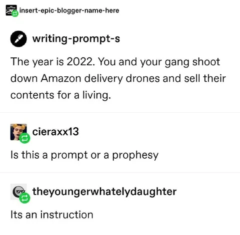 Amazon Drone Robbery Prompt