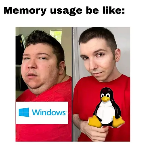 Memory Usage Be Like Windows