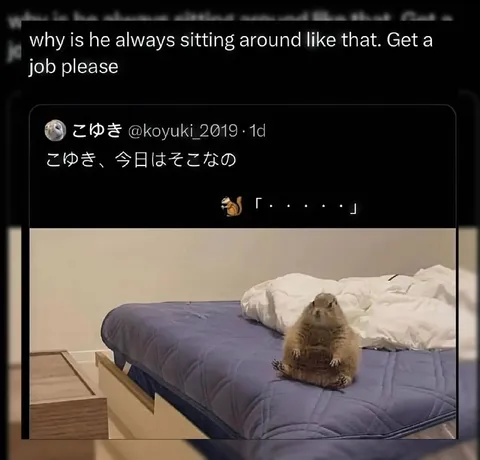Groundhog Needs a Job