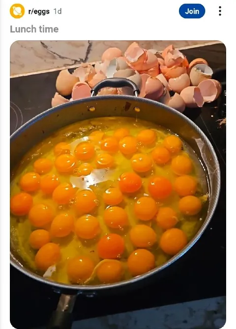 Lunch Time Egg Overload