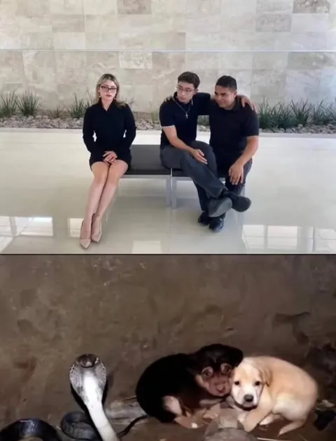 Люди и змеиные щенки