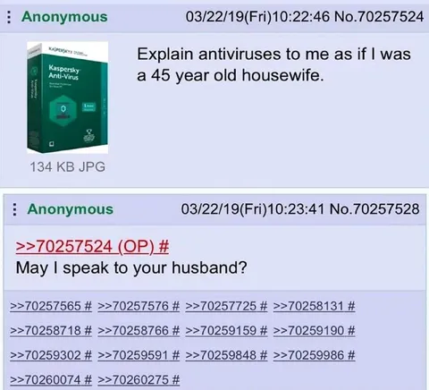 Explain Antivirus to a Housewife