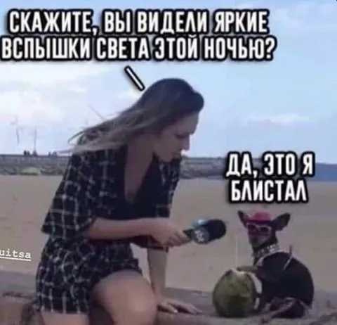 Собака блестела этой ночью