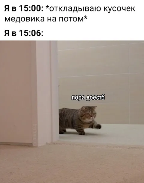 Отложил медовик на потом