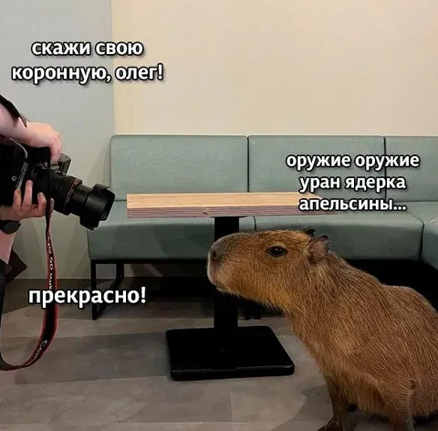 Капибара Олег и коронная фраза