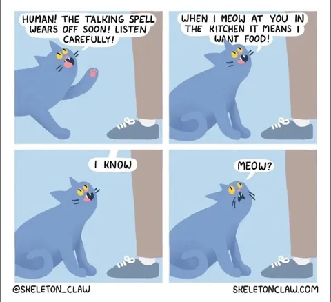 Cat Explains What Meowing Means