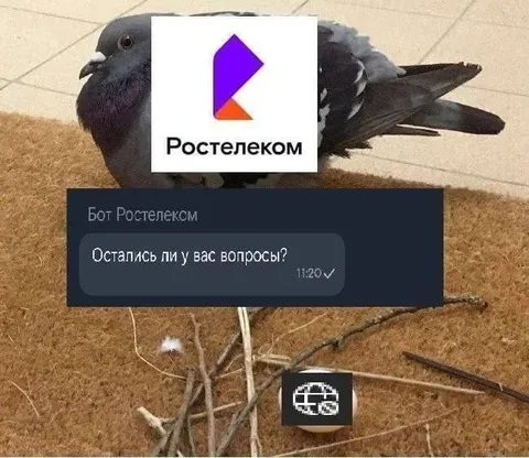 Бот Ростелекома закончил разговор