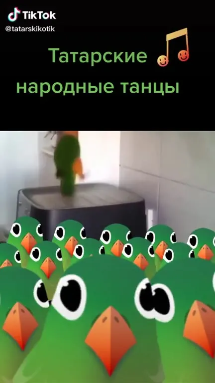 Татарские народные танцы попугая